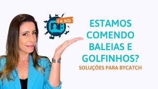 Comemos BALEIAS e GOLFINHOS? Soluções para o Bycatch - ep. 73