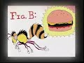 Title:The Waggle Dance Description:Mike L. Mayfield and the Citizens Against Safety Goggles present:<br /><br />A lesson in the communication flight patterns of bees.  With the help of an assistant.<br /><br />--- www.CitizensAgainstSafetyGoggles.com ---