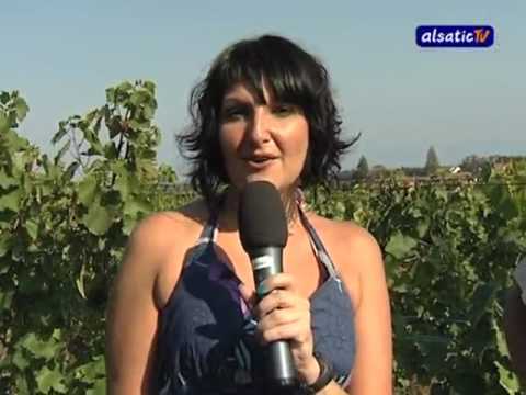 Vendanges 2009 : Dans les vignes de Guebwiller Vendanges 2009 : Dans les vignes de Guebwiller klip izle