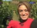Vendanges 2009 : Dans les vignes de Guebwiller klip izle