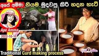 Traditional Sri Lankan village curd making by Apé Amma