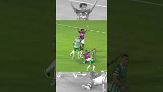 5s84TNLLsyk Video Image