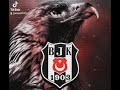 kara kartal (Beşiktaş)
