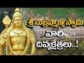 Famous Lord Subramanya Swamy Tamples in Tamilnadu | Lord Murugan Temples | Eyeconfacts