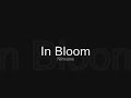 In Bloom - Nirvana [Lyrics]