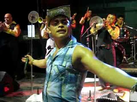GRUPO MELAO SALVADOR grupo melao salvador:
