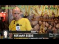 Nirvana Seeds @ Spannabis 2013 In Barcelona Spain