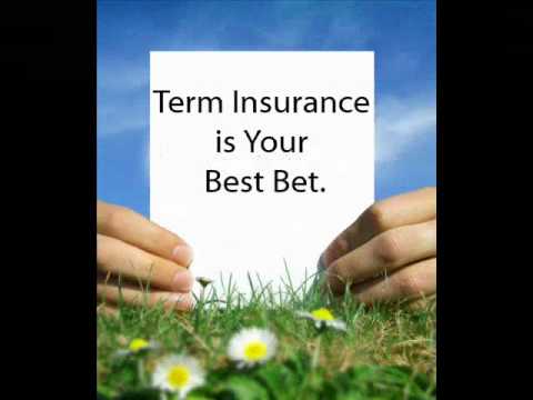 Life Insurance 101: Term Life Insurance vs Whole Life Insurance (Part ...