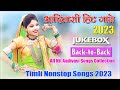New Aadivasi Timli Song 2023 Aadiwasi Hit Songs Aadivasi Timli Nonstop Songs 2023