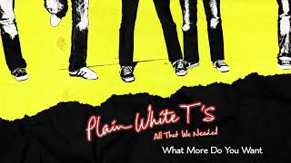 Watch Plain White Ts What More Do You Want video