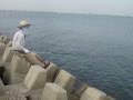 揖斐長良川 ハゼ釣り 鯊、沙魚 、蝦虎魚Gobioide