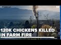 120,000 chickens killed in fire at Oakdell Egg Farms in Cache County