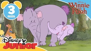 The Mini Adventures Of Winnie The Pooh Hunting Heffalumps