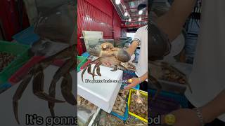 Buying Enormous Mud Crab