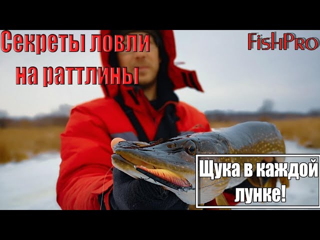 Щука в каждой лунке! Секреты ловли на раттлины.