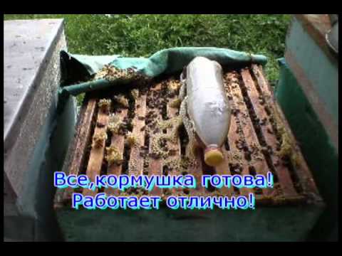 Самодельная кормушка для пчёл Самодельная кормушка для пчёл