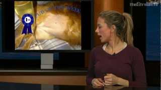 The Weakly News - Legs, Birthday, Massages, and a New Corner (Part 3 of 3)
