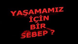 YAŞAMAMIZ İÇİN BİR SEBEP SÖYLER MİSİN ?