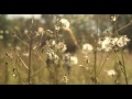 Farro - Color Rush (Official Music Video)