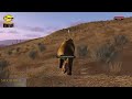 Search For A Mate Wolf Quest Dawn Of Wolves Episode Search For A Mate Wolf Quest Dawn Of Wolves Episode