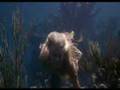 Video: Mermaid Merman