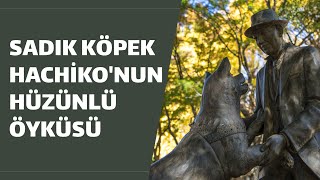 SADIK KÖPEK HACHİKO'NUN ÖYKÜSÜ