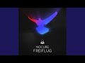 Freiflug (Patrick Esrever Remix)