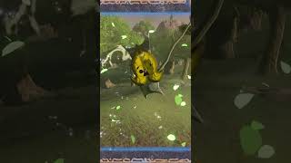 Korok Seed Tricks In Zelda Breath Of The Wild Botw