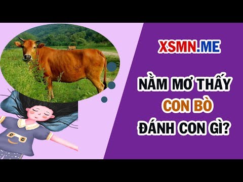 Nằm mơ thấy con bò đánh con gì? Giải mã giấc mơ thấy con bò