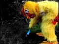 Chicken Pox - Darling Rooster