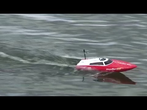 Forex boat review