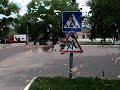 Video Войково Згуровский район Киевская область.