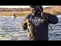 Ish Monroe : 2 Hour 5 Bass Limit Fishing Challenge