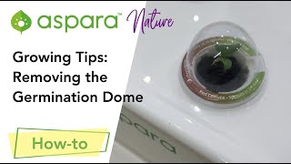 Growing Tips: Removing the germination dome