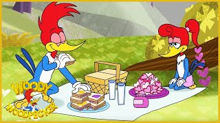 Woody Woodpecker 2018 | Cupid | Kids Movies | 1 Hour Compilation | Kids Cartoon | Kids Videos