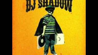 Watch Dj Shadow What Have I Done Featuring Christina Carter video