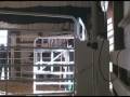 Forster Farms Cattle Sale (part 2)