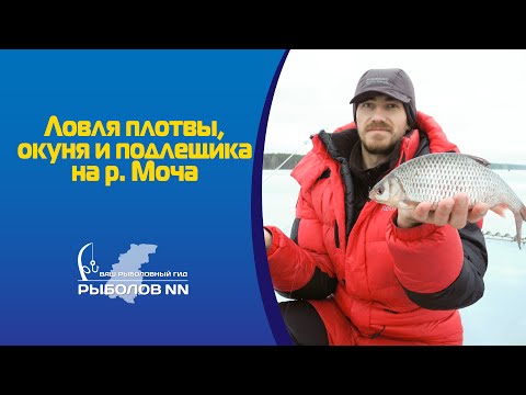 рыбалка на моче нижегородской области рыбалка на моче нижегородской области