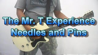 Watch Mr T Experience Needles And Pins video