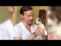 🤣 Funniest 😻 Cats and 🐶 Dogs - Awesome Funny Pet Animals' Life Videos 😇