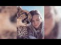 🤣 Funniest 😻 Cats and 🐶 Dogs - Awesome Funny Pet Animals' Life Videos 😇