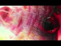 Rich Oddie - Bloodstream - Against Your Will