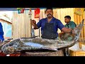 KASIMEDU 🔥 SPEED SELVAM | 25 KG GIANT BROWN COBIA FISH CUTTING VIDEO | IN KASIMEDU | FF CUTTING 🔪
