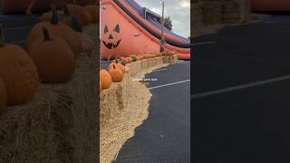 Come With Me To The Pumpkin Patch - Watch The Vlog