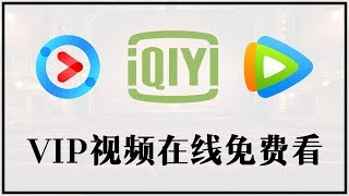 ?iQiQi?#204 ???????????VIP????????????????????