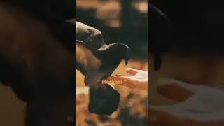 Duygusal Kurtce Whatsap Durum Videolar Icin Abone Olmayi Unutmayin Lütfen