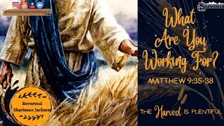 Just The Sermon What Are You Working For 7 31 22 Missionary Sunday