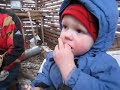 Sugar Shack