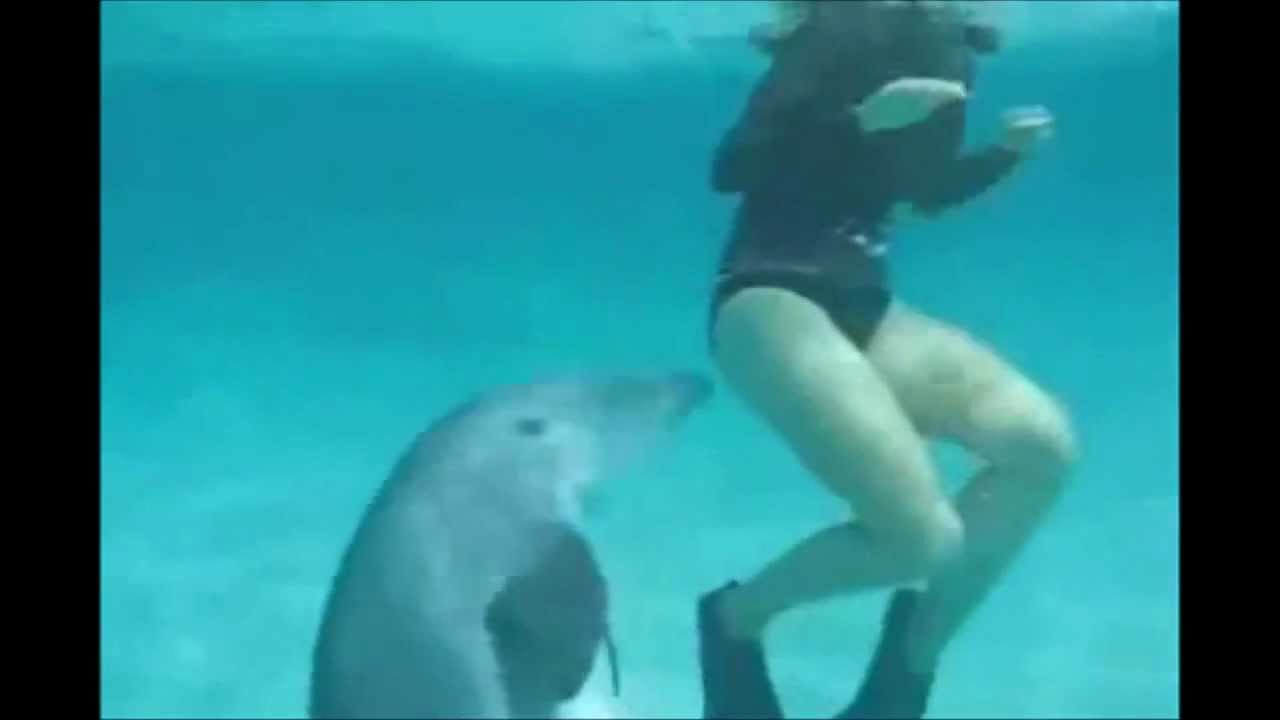 Секс Девушек С Дельфинами Любительское Видео