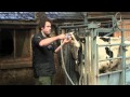 Cattle stomach pump